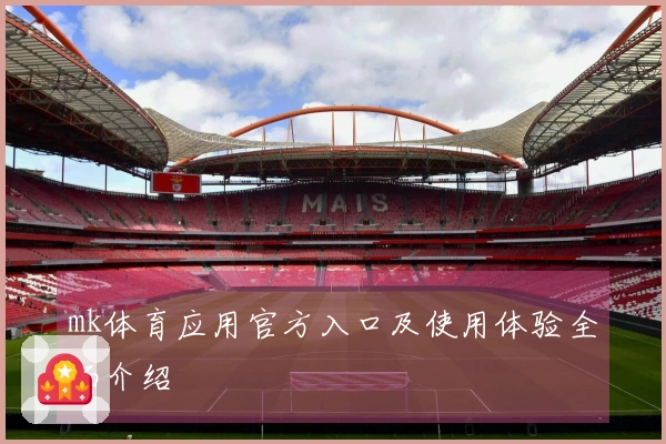 mk体育应用官方入口及使用体验全面介绍