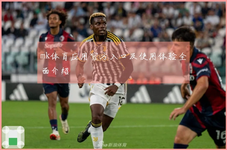 mk体育应用官方入口及使用体验全面介绍