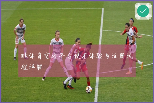 mk体育官方平台使用体验与注册流程详解